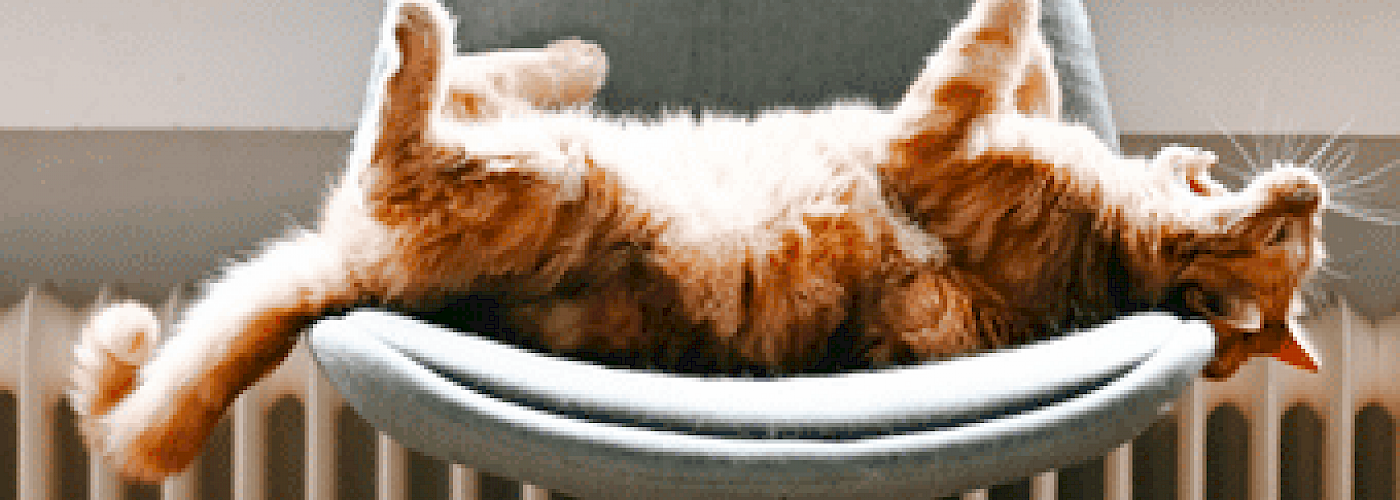 Cheapest Heater To Run A Comprehensive Guide Heat Electric